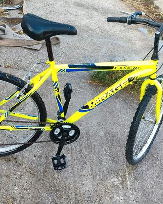 bicicletta 