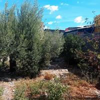 Casa indipendente con cortile