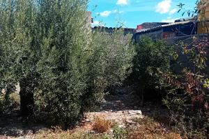 Casa indipendente con cortile