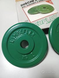 Dischi in ghisa da 2 kg