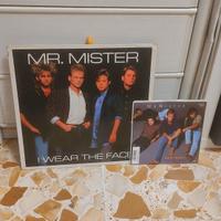 Lotto 2 dischi Mr Mister Lp + raro 45 giri Japan