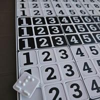 Gioco sudoku con linguaggio braille 128 pezzi 