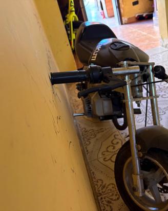 Mini moto