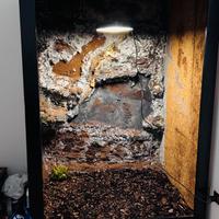 Terrario per rettili