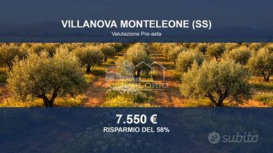 Immobile in asta di 17906 m² a Villanova Monteleon