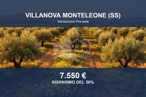 Immobile in asta di 17906 m² a Villanova Monteleon