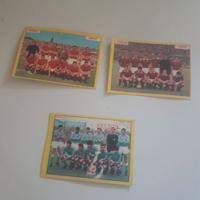 Figurine Panini 66/67 squadre Roma ,Torino ,Napoli