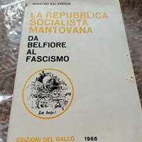 libro la repubblica socialista mantovana 