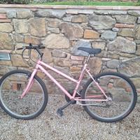 Mountain bike