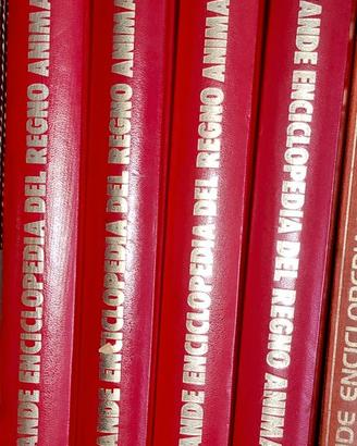 Grande Enciclopedia del Regno Animale