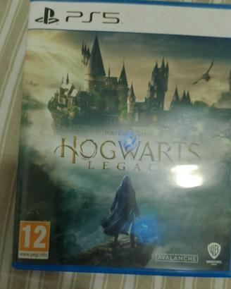Ps5 cd Hogwarts legacy