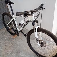 MTB Specialized Pich Sport