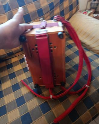 Organetto diatonico 8 bassi
