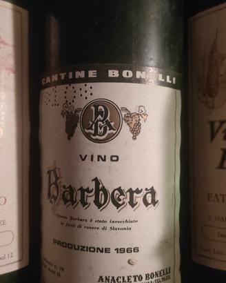 Vino Barbera  1966