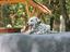 Immagine 4