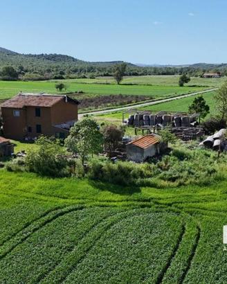 Rustico / Casale di 340 m² con 5 locali a Capalbio