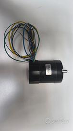 Motore brushless
