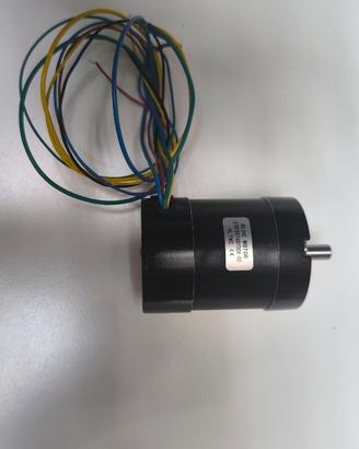 Motore brushless