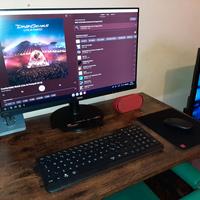 monitor philips 24 pollici