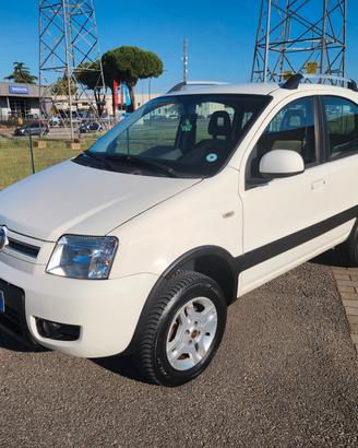 Fiat Panda 1.3 MJT 16V DPF 4x4 Climbing