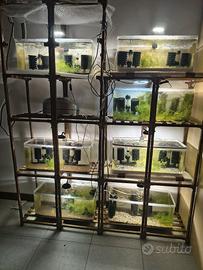 Aquarium