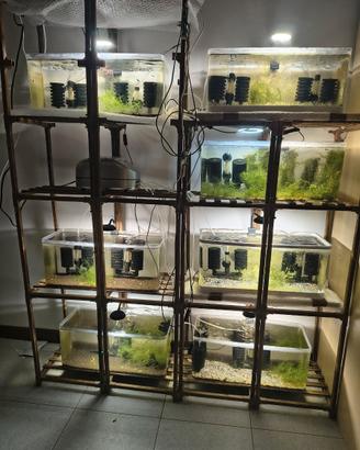 Aquarium