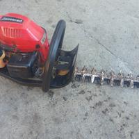 jonsored  tagliasiepi