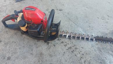 jonsored  tagliasiepi