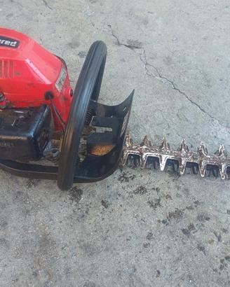 jonsored  tagliasiepi