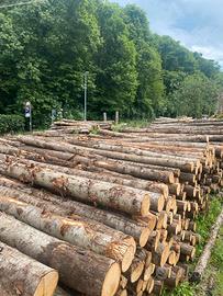 Pali di castagno per agricoltura e recinzioni