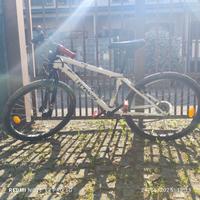 bicicletta ragazzino 