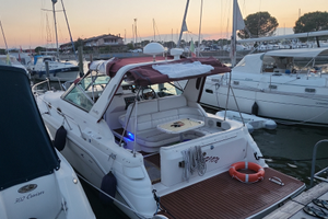 Sea Ray 290 Sundancer