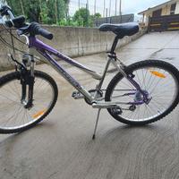 mountain bike