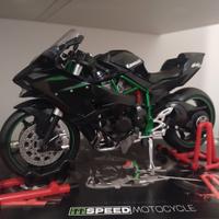 Kawasaki H2R 1/9