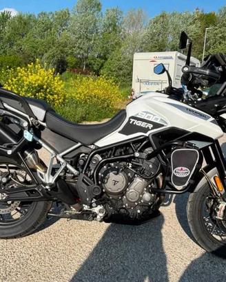 TRIUMPH TIGER 900 GT PRO