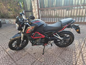 Benelli bn 251