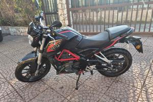 Benelli bn 251
