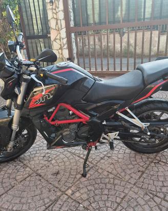 Benelli bn 251