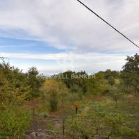 Terreno agricolo - Piedimonte Etneo