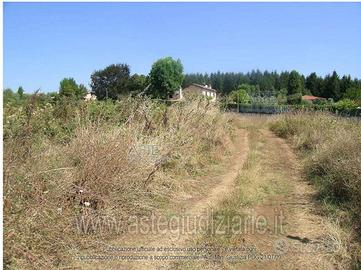 Terreno Agricolo Lariano [A4338928]