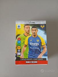 Carte Calciatori Panini