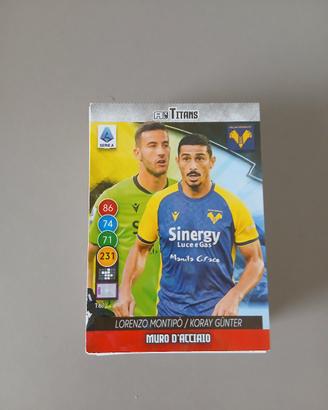 Carte Calciatori Panini