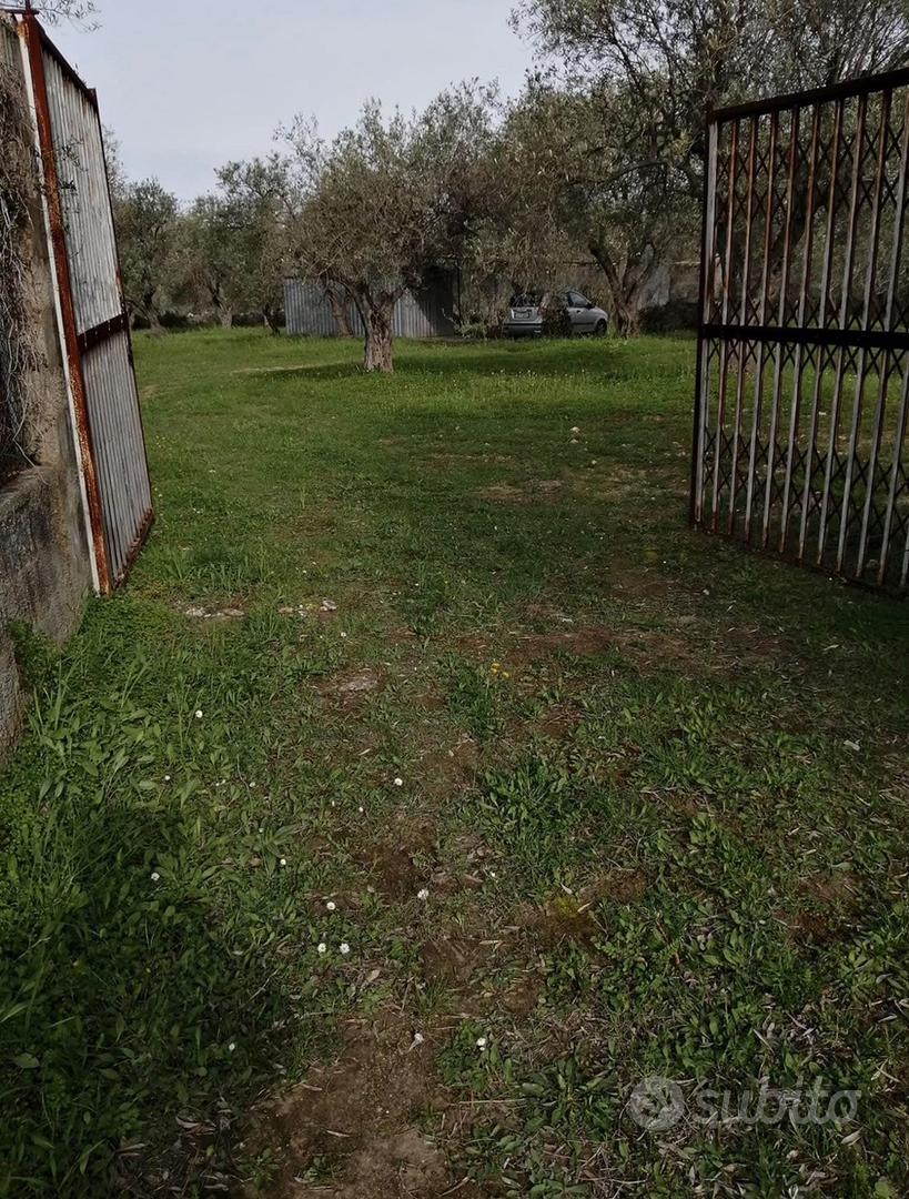 ULIVETO USINI - Vista 5
