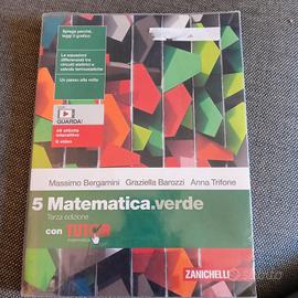libro di matematica istituto t.t. o liceo 