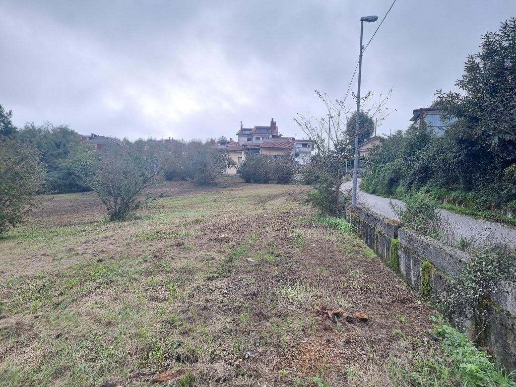 Terreno di mq.10.300 con 2 pozzi e 2 fronti strada - Vista 3