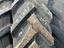 Immagine 8