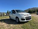 fiat-panda-1-2-easy-16v