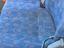 Immagine 11
