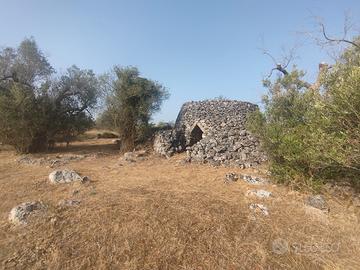  terreno agricolo zona Terrisi Parabita 