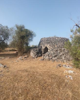  terreno agricolo zona Terrisi Parabita 